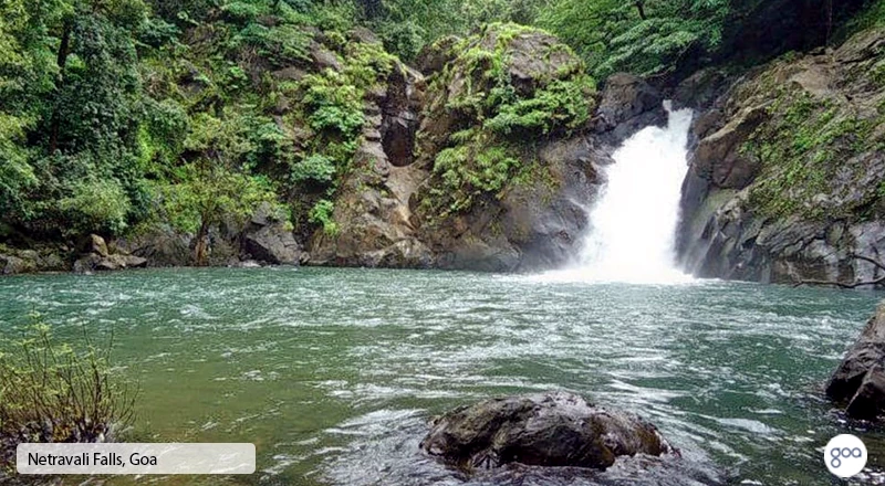 Waterfalls in Goa